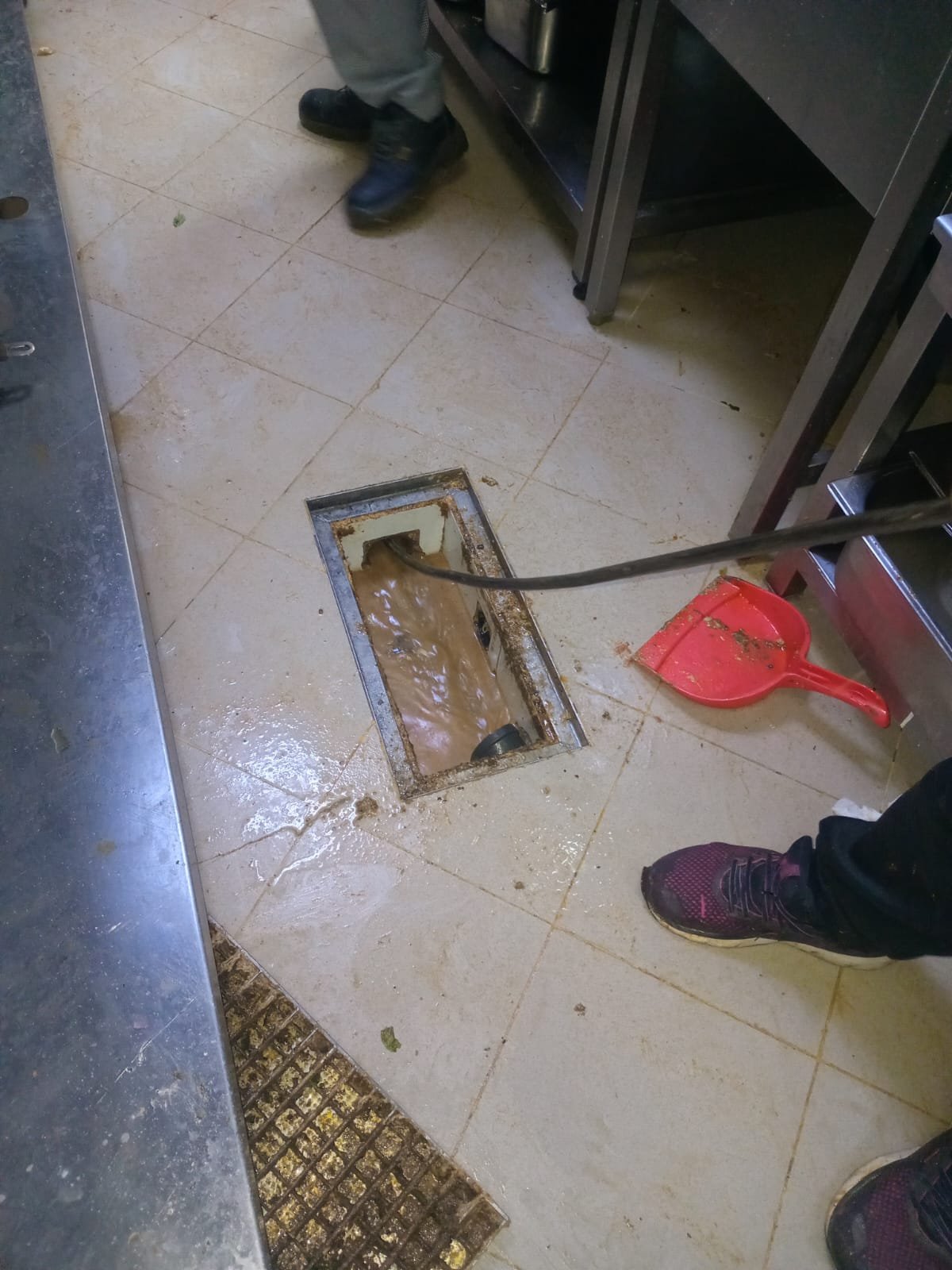 Floor Drain Smell Causes Fixes Dubai